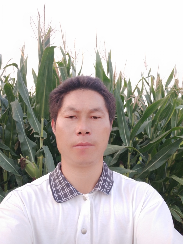 四海游龙的第一张照片--平和相亲网