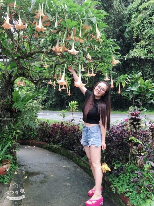 离异单身无子的第二张照片--平和相亲网