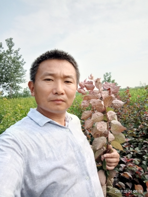 孩子爸的第一张照片--平和相亲网