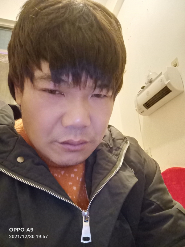 小鸟找窝的第二张照片--平和相亲网