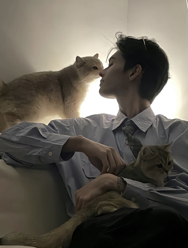 怪猫的第一张照片--平和相亲网