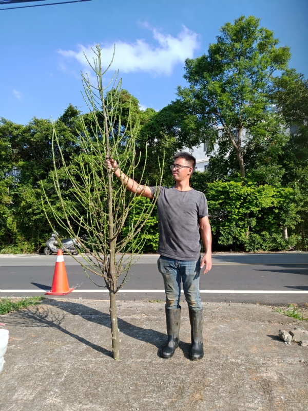 jeff的第二张照片--平和相亲网